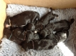 One day old
