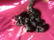 Few hours old