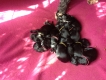 Few hours old