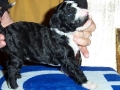 PoseidonMea5 PoseidonMea5