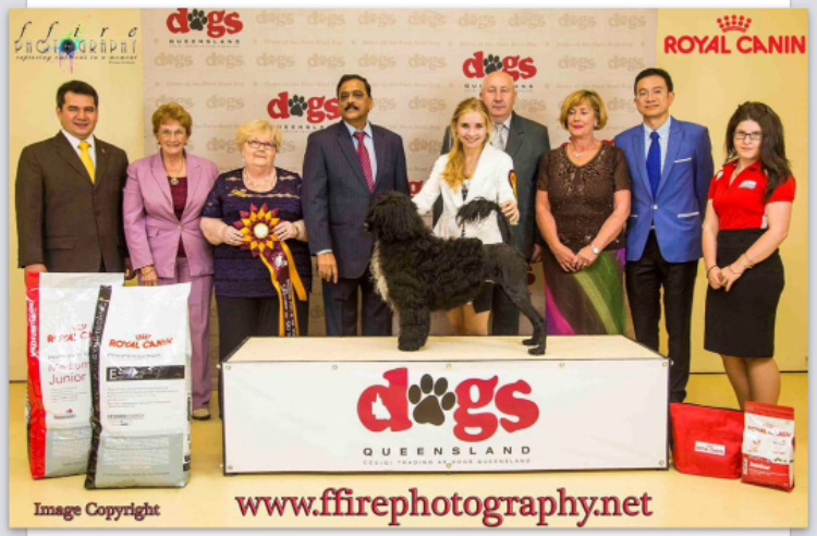 RUNNER UP puppy of the year 2014 RUNNER UP puppy of the year 2014