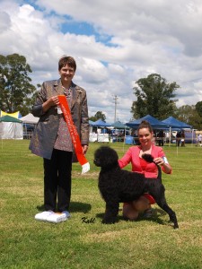 Bitsy Kyogle Abwaj Bitsy Best in Group