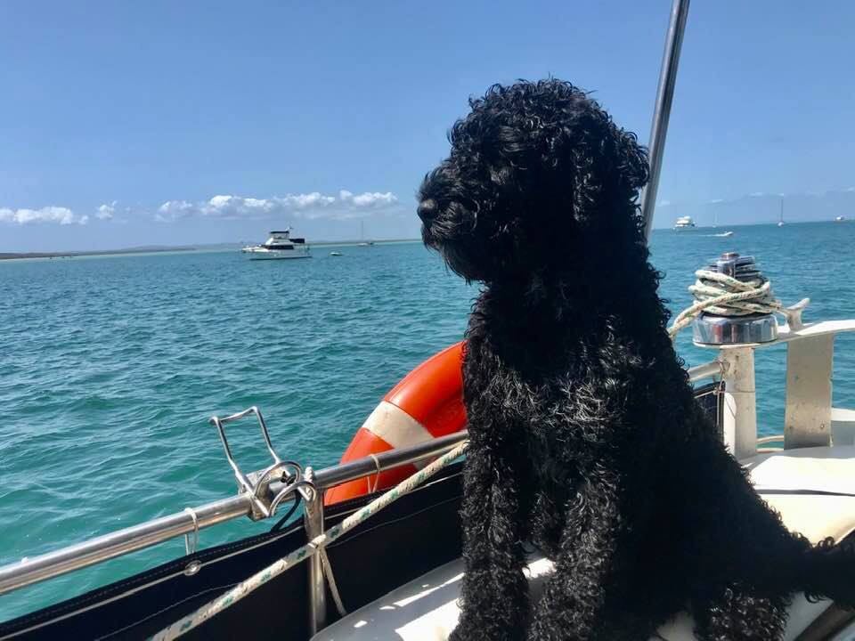 Capt Bob on the Sea Farer
